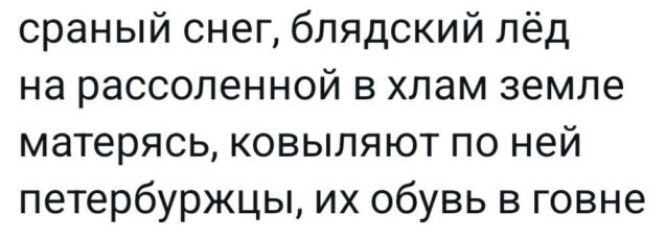 сраный снег блядский лёд на рассоленной в хлам земле матерясь ковыляют по ней петербуржцы их обувь в говне