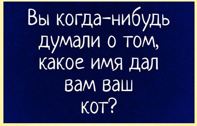 Вы когда нибудь думали о том какое имя дал вам ваш кот