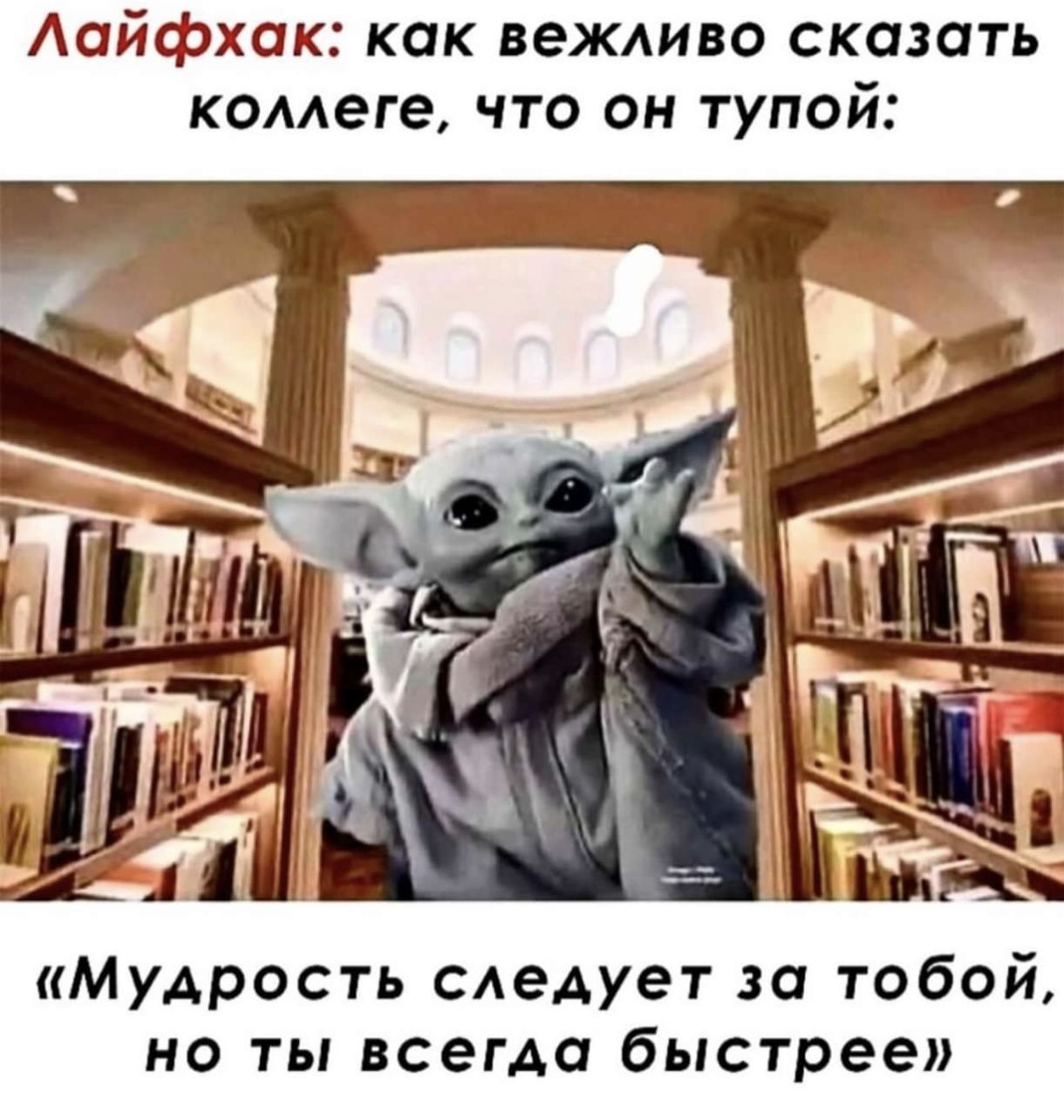 Лайфхак как вежливо сказать коллеге что он тупой Мудрость следует за тобой но ты всегда быстрее