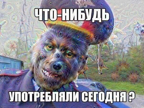 ЧТО-НИБУДЬ УПОТРЕБЛЯЛИ СЕГОДНЯ ?