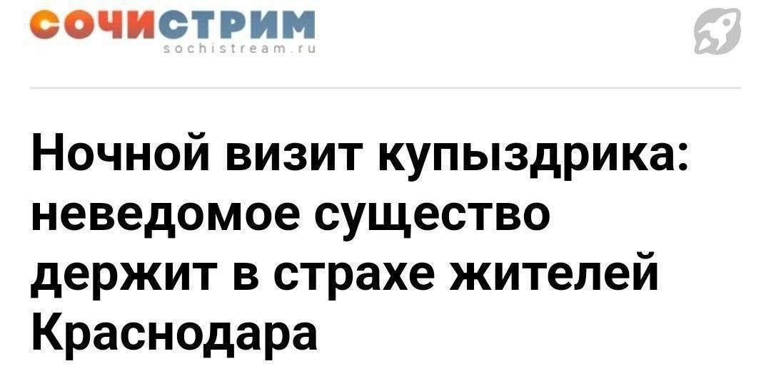Ночной визит купыздрика: неведомое существо держит в страхе жителей Краснодара