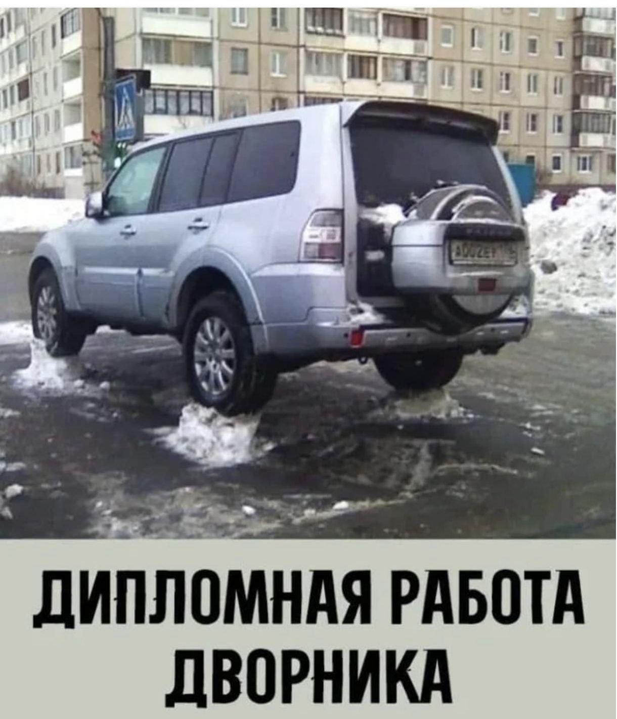 ДИПЛОМНАЯ РАБОТА ДВОРНИКА