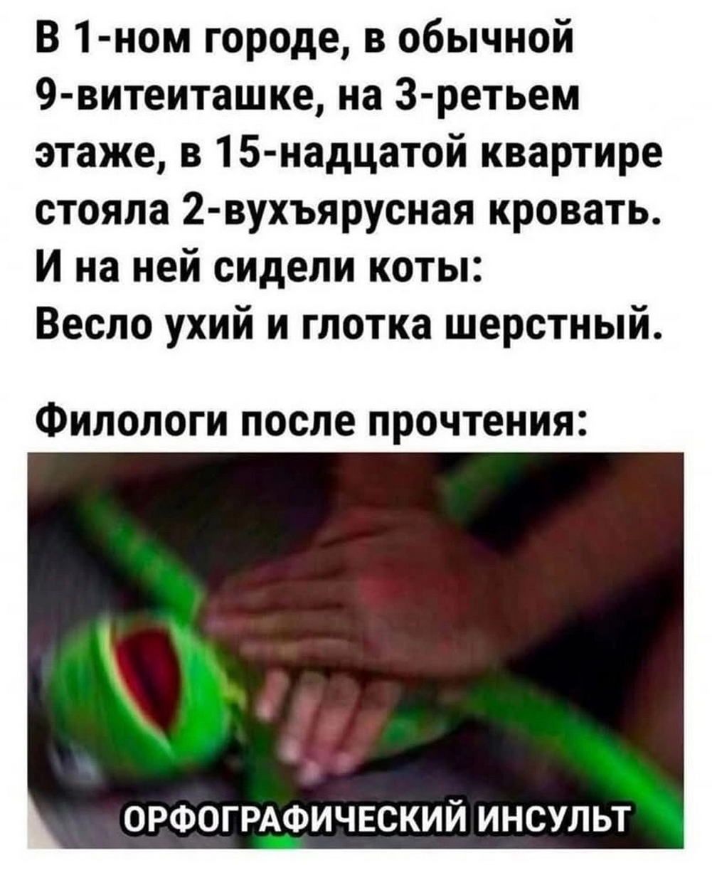 В 1-ном городе, в обычной 9-витеиташке, на 3-ьем этапе, в 15-надцатой квартире стояла 2-вухъярная кровать. И на ней сидели коты: Весло ухий и глотка шерстный.
Филологи после прочтения:
ОРФОГРАФИЧЕСКИЙ ИНСУЛЬТ