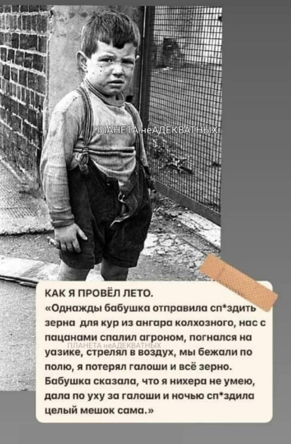 КАК Я ПРОВЁЛ ЛЕТО.
«Однажды бабушка отправила сп³*дить зерна для кур из ангара колхозного, нас с пацанами сплели агроном, погнался на языке, стрелял в воздух, мы бежали по полю, а потерял галоши и всё зерно. Бабушка сказала, что я ничего не умел, дала по уху за галоши и ночью сп³*дили целый мешок сама.»