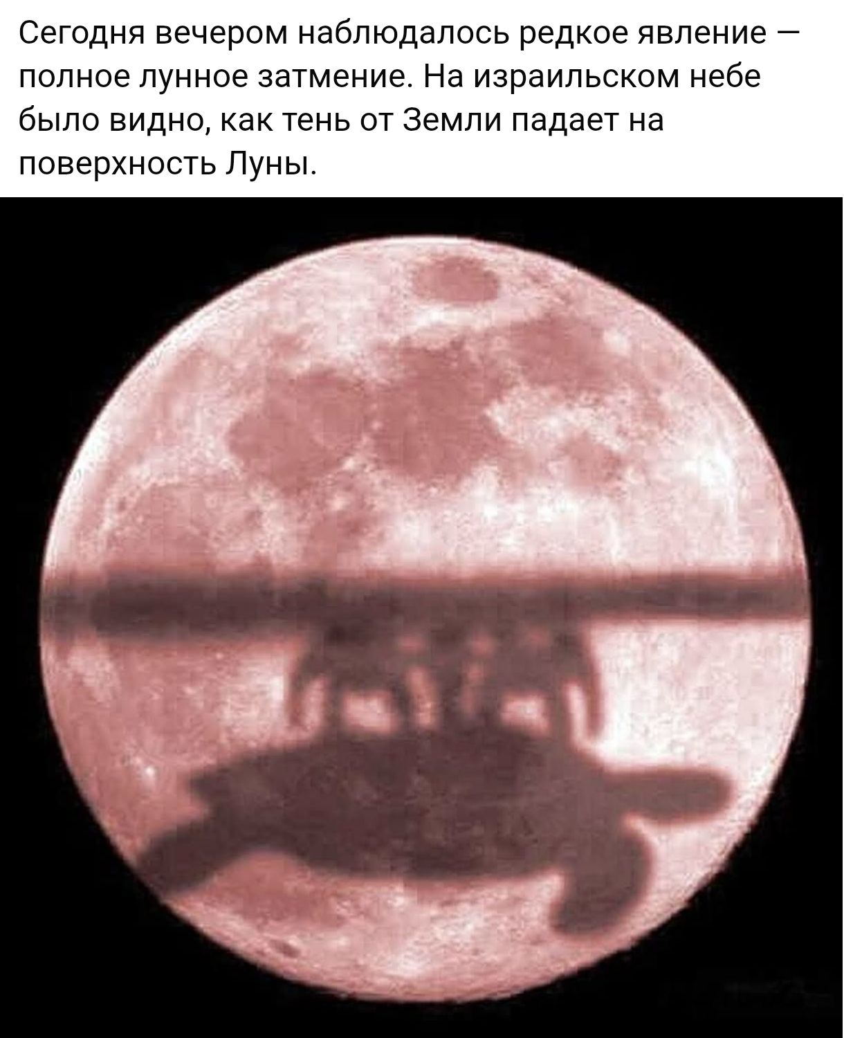 Сегодня вечером наблюдалось редкое явление – полное лунное затмение. На израильском небе было видно, как тень от Земли падает на поверхность Луны.
