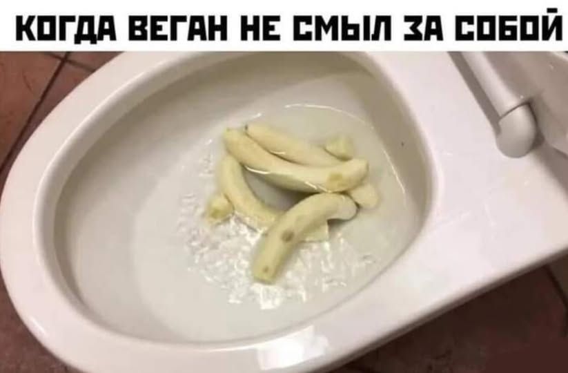 КОГДА ВЕГАН НЕ СМЫЛ ЗА СОБОЙ