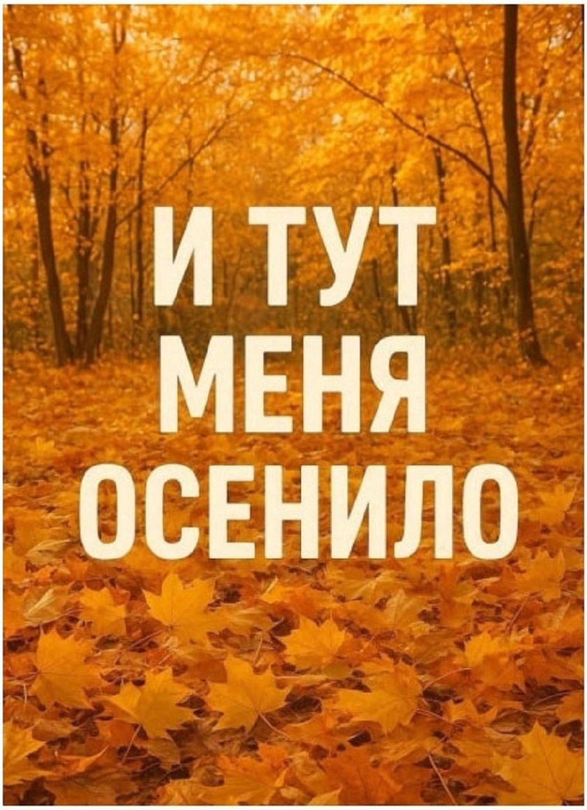 И тут меня осенило