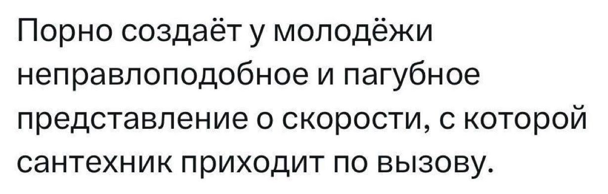 Порно создаёт у молодёжи неправдоподобное и пагубное представление о скорости, с которой сантехник приходит по вызову.