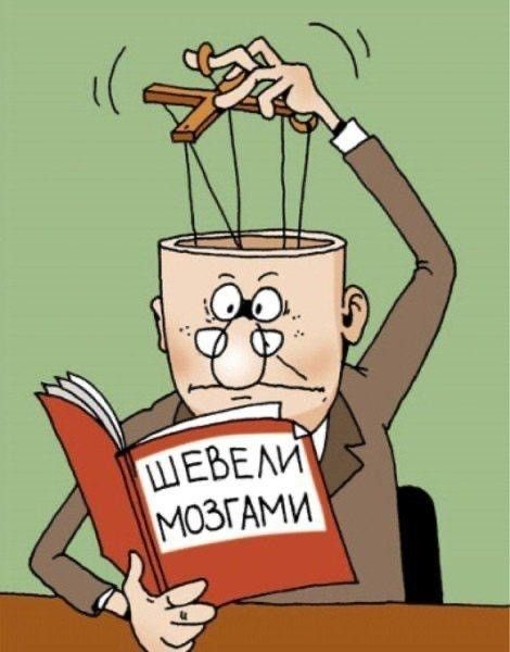 Шевели мозгами