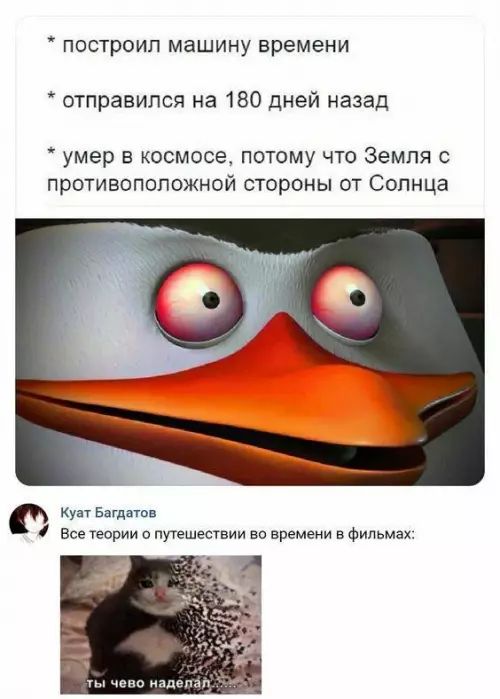 * построил машину времени
* отправился на 180 дней назад
* умер в космосе, потому что Земля с противоположной стороны от Солнца

Все теории о путешествии во времени в фильмах:

Ты чево наделал