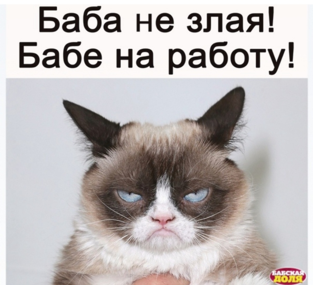 Баба не злая Бабе на работу