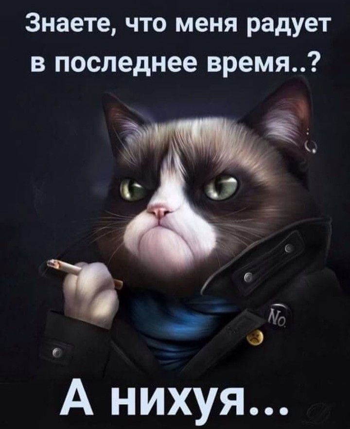 Знаете что меня радует в последнее время А нихуя