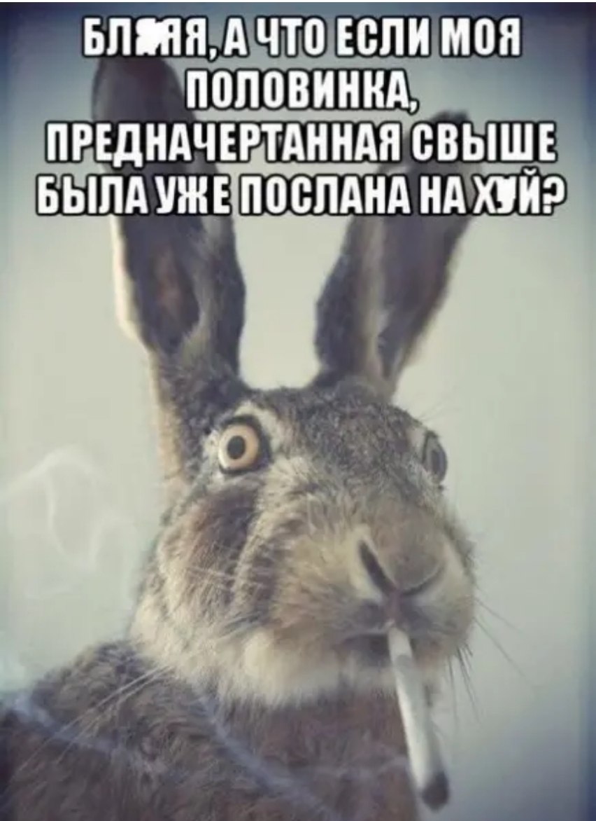 __ БЛИН ЧТПЕСЛИМЦН