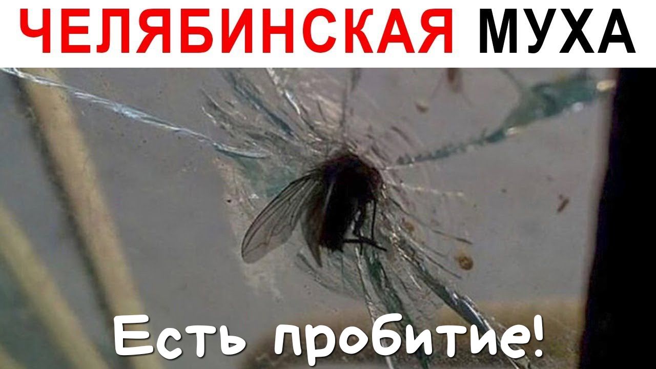 Ес ть п ро Битіае