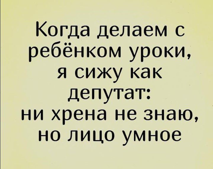 Когда делаем с ребёнком уроки я сижу как депутат ни хрена не знаю но лицо умное