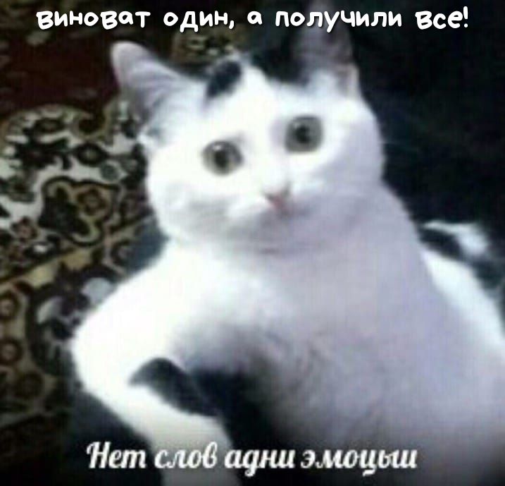 виноват один и получили все