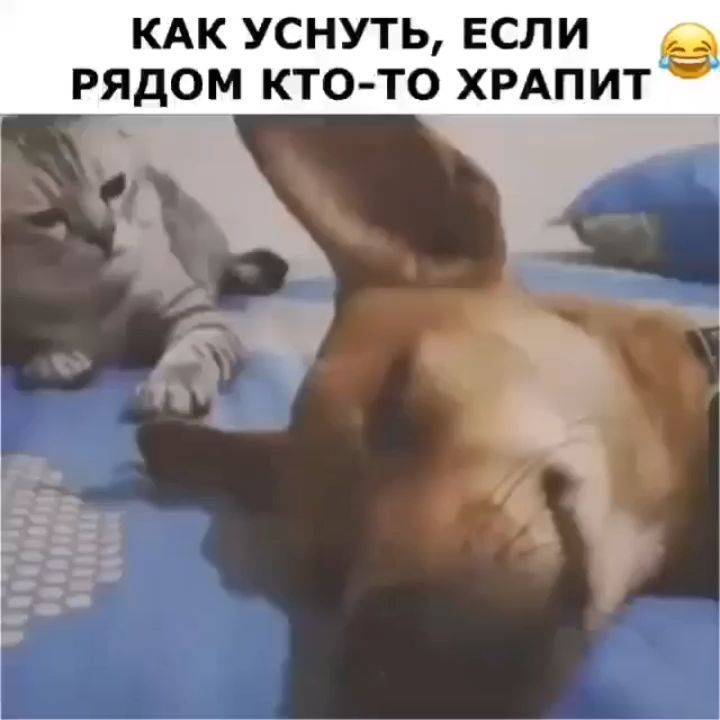 КАК УСНУТЬ ЕСЛИ 61 РЯДОМ КТО ТО ХРАПИТ