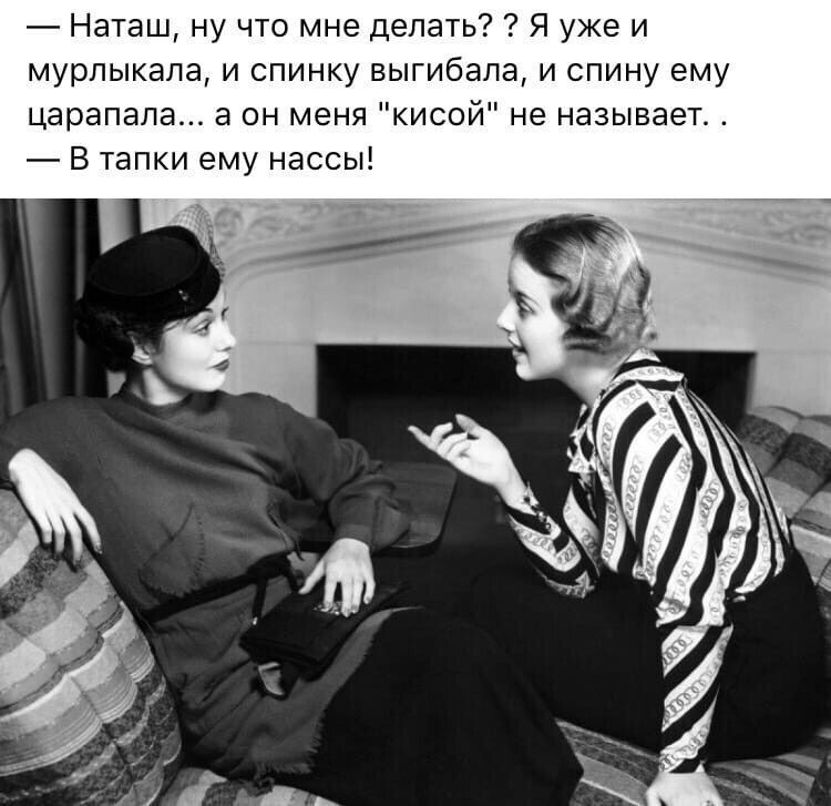 Наташ ну что мне делать Я уже и мурлыкала и спинку выгибала и спину ему царапала а он меня кисой не называет В тапки ему нассы