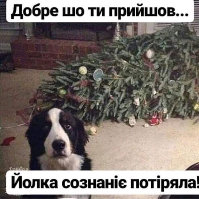 добре шо ти прийшов 7_