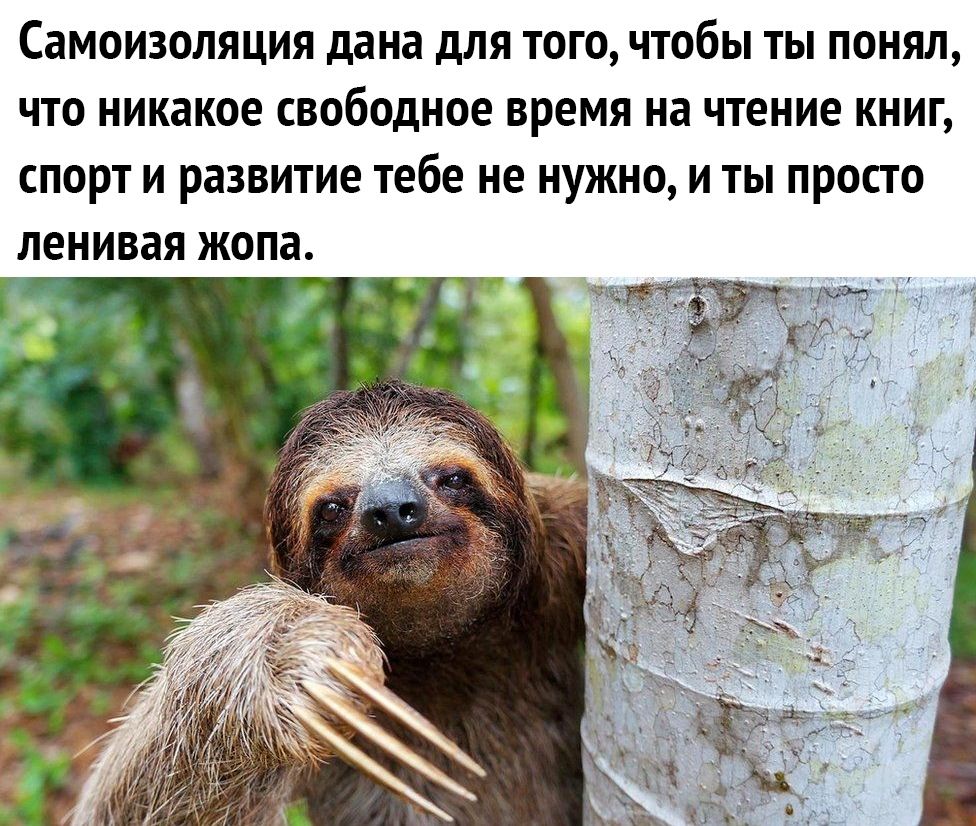 Самоизоляция дана дЛЯ ТОГО ЧТОбЫ ТЫ ПОНЯЛ ЧТО никакое свободное время на чтение КНИГ СПОРТ И развитие тебе не НУЖНО И ТЫ ПРОСТО