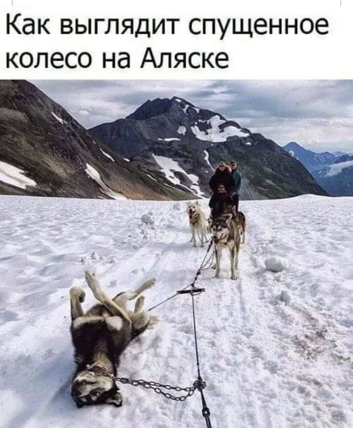 Как выглядит спущенное колесо на Аляске