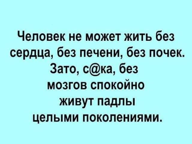 Человек не может жить без сердца без печени без почек Зато ска без мозгов спокойно живут падлы целыми поколениями