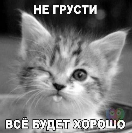 ч жид