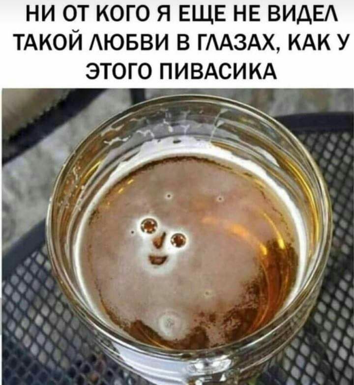 НИ ОТ КОГО Я ЕЩЕ НЕ ВИДЕА ТАКОЙ АЮБВИ В ГААЗАХ КАК У ЭТОГО ПИВАСИКА