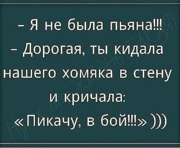 Я не была пьяна Дорогая ты кидала нашего хомяка в стену и кричала Пикачу в бой