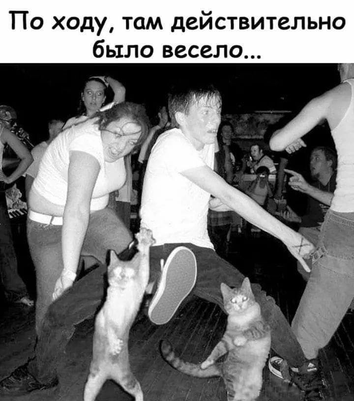 По ходу там действительно было весело