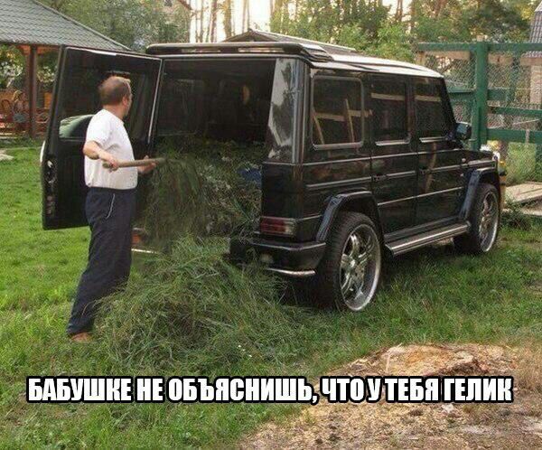 10 ты пинк пдіцшигиюпъяпиишізз