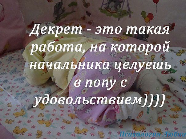Декрет это такая работа на которой 1 начали ика целуешь дд удовольствиемлл