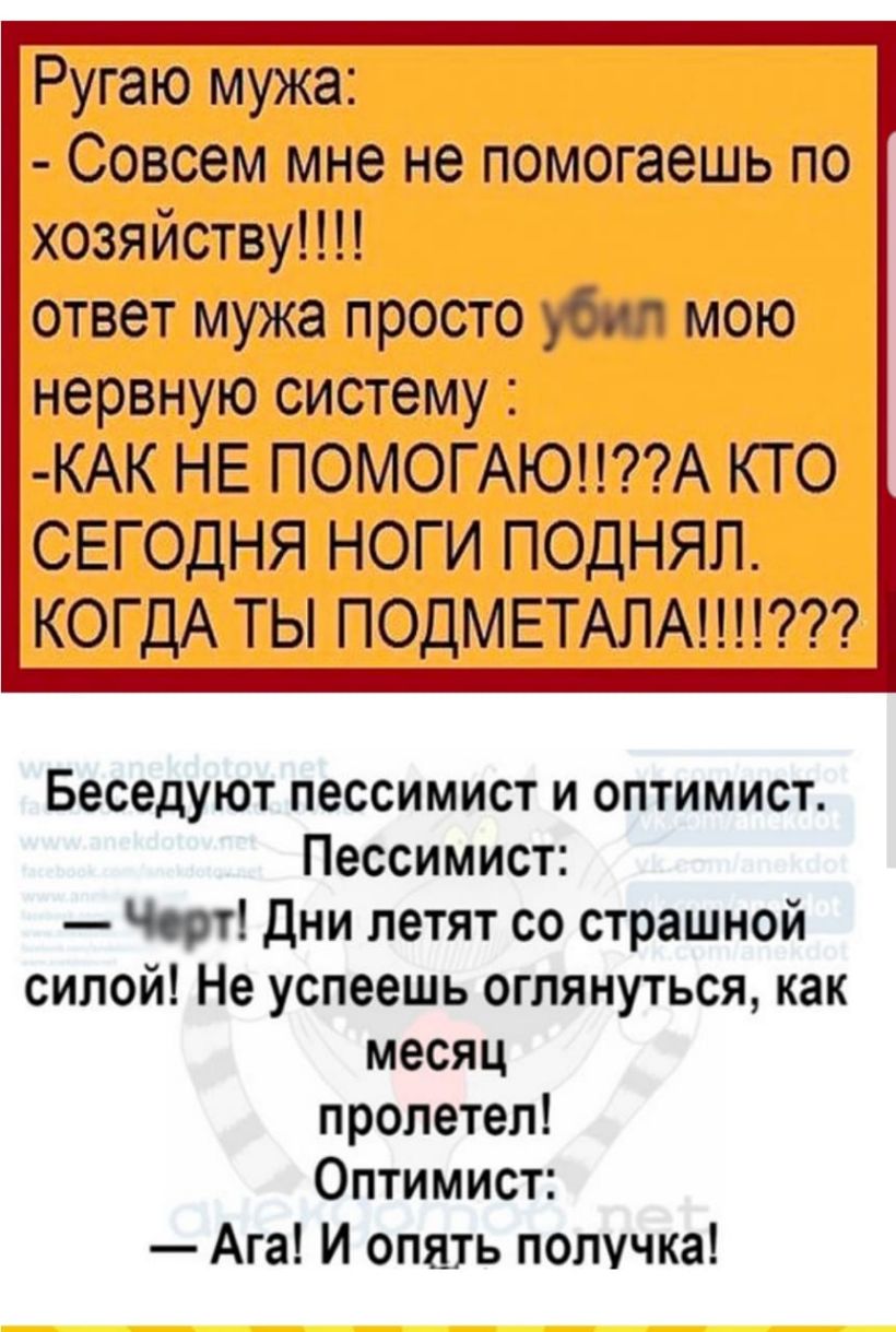 Ругаю мужа Совсем мне не помогаешь по хозяйству ответ мужа просто убил мою нервную систему КАК НЕ ПОМОГАЮА КТО СЕГОДНЯ НОГИ ПОДНЯЛ КОГДА ТЫ ПОДМЕТАПА Беседуют пессимист и оптимист Пессимист Чоп Дни летят со страшной силой Не успеешь оглянуться как месяц пролетел Оптимист Ага И опять получка