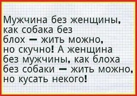 Мужчина без женщины как собака без блох жить можно но скучно А женщина без мужчины как блоха без собаки жить можно но кусать некого