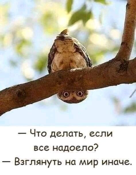 Что делать если все надоело Взглянуть на мир иначе