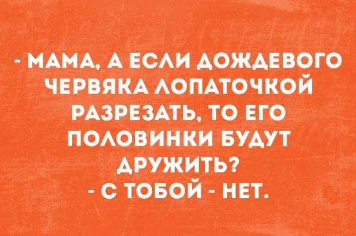 вши А щит шею пки шлюшки пишите на пт с ин