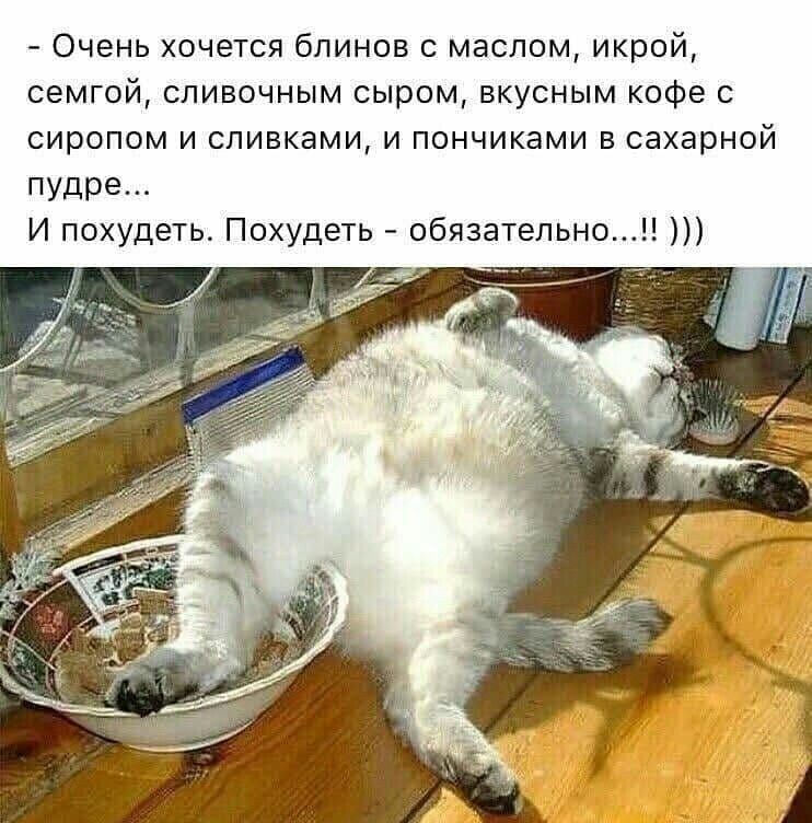 Очень хочется блинов с маслом икрой семгой сливочным сыром вкусным кофе с сиропом и сливками и пончиками в сахарной пудре И похудеть Похудеть обязательно