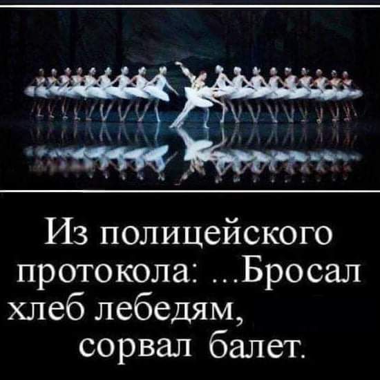 Из полицейского протокола Бросал хлеб лебедям сорвал балет