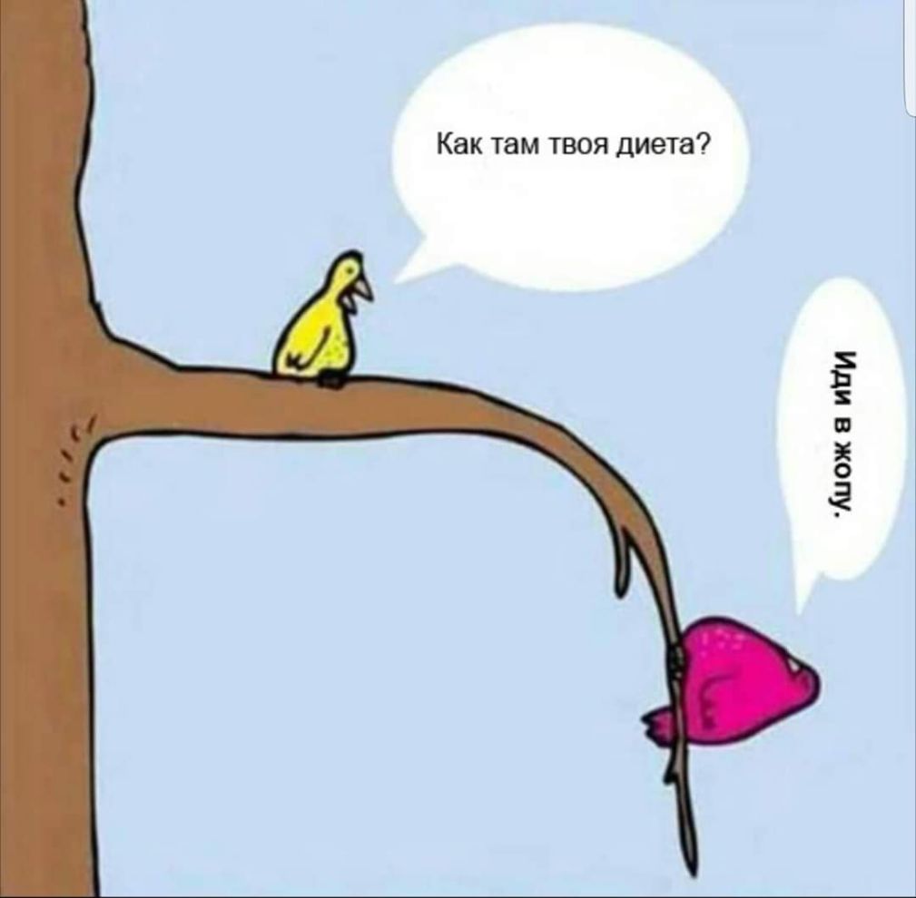 Как там твоя диета Лиож а итти