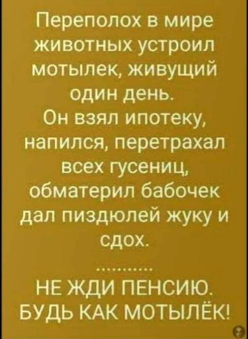 Переполох в мире животных устроил мотылек живущий один день Он взял ипотеку напился перетрахал всех гусениц обматерил бабочек дал пиздюлей жуку и сдох НЕ ЖДИ ПЕНСИЮ БУДЬ КАК МОТЫЛЁК