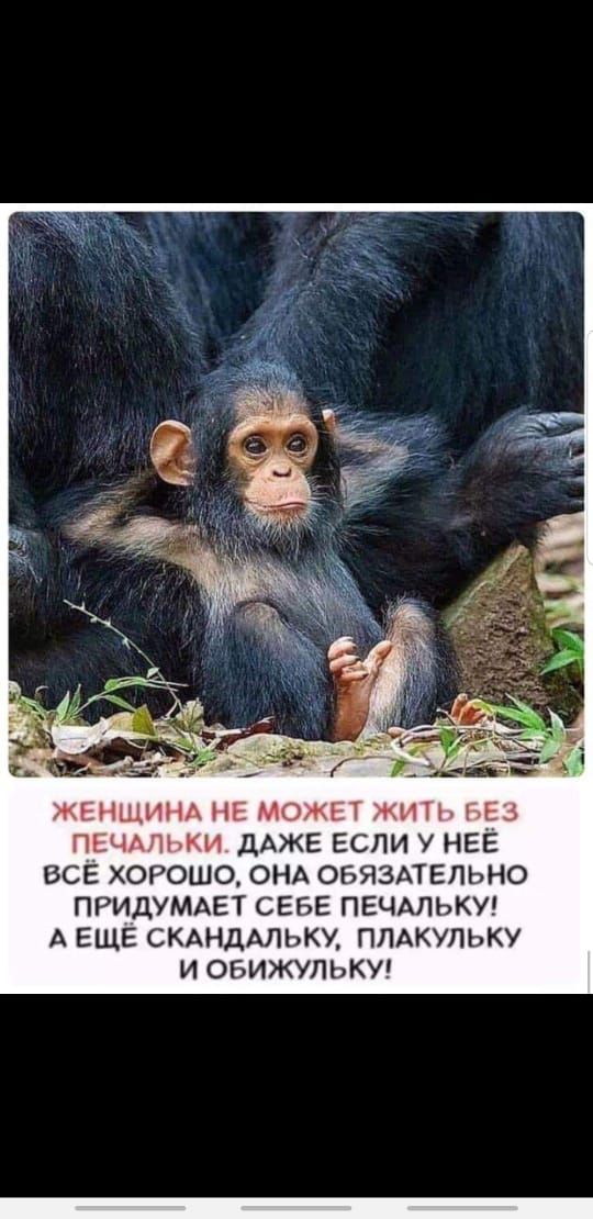 женщинд НЕ может жить вы пнчлпьки ДАЖЕ если у НЕЁ всЁ хорошо онд ОБЯЗАТЕЛЬНО ПРИДУМАЕТ СЕБЕ пгчшькуг А ЕЩЕ скднддлькм пмкупьку и овижульки