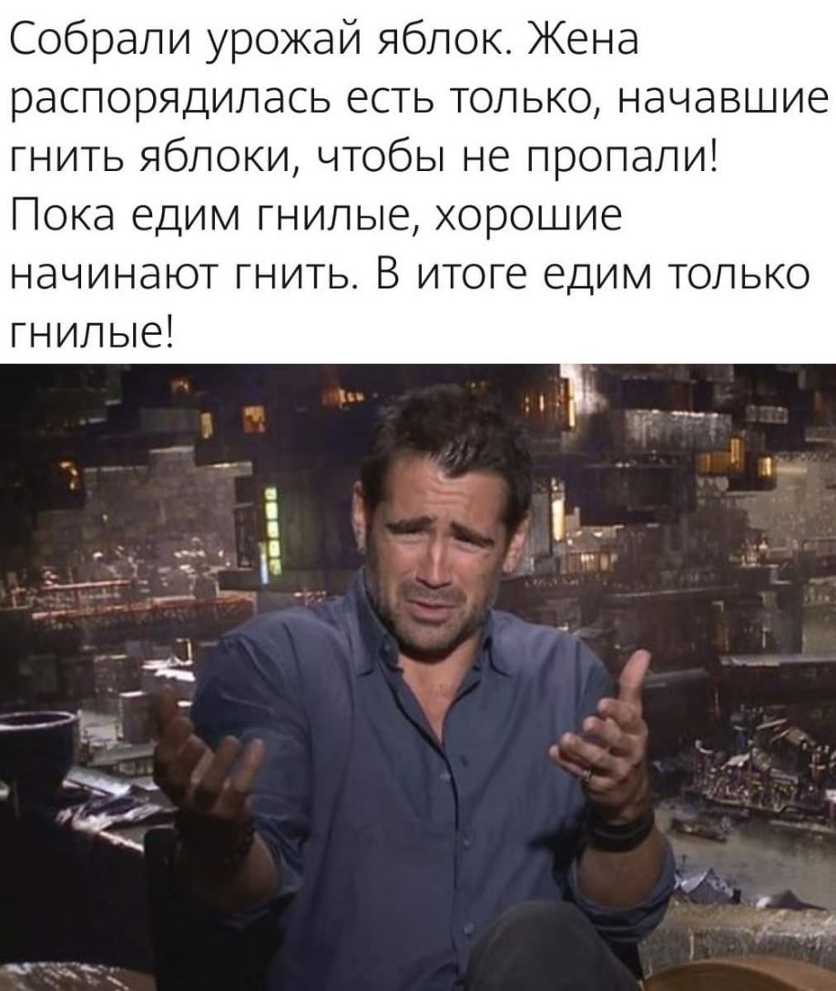 Собрали урожай яблок Жена распорядилась есть только начавшие гнить яблоки чтобы не пропали Пока едим гнилые хорошие начинают гнить В итоге едим только гнилые