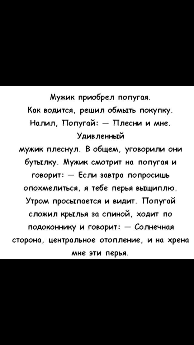 Мужик приобрел попугая Как водится решил обмыть покупку Налил Попугай Плесни и мне Удивленньтй мужик плеснул В общем уговорили они бутьтлкут Мужик смотрит на попугая и говорит Если завтра попросишь опохмелиться я тебе перья вьтщиплю Утром просыпается и видит Попугай сложил крылья за спиной ходит ПО подоконнику И говорит _ Солнечная она центральное отопление и на хрена мне ЭТИ перья