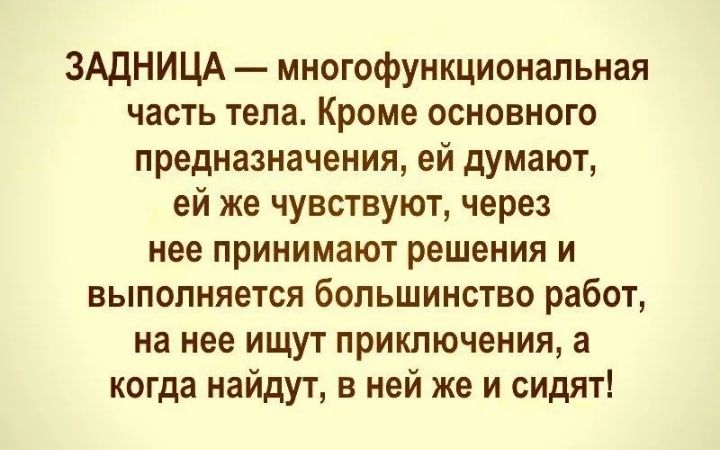ЗАДНИЦА многофункциональная часть тела Кроме основного предназначения ей думают ей же чувствуют через нее принимают решения и выполняется большинство работ на нее ищут приключения а когда найдут в ней же и сидят
