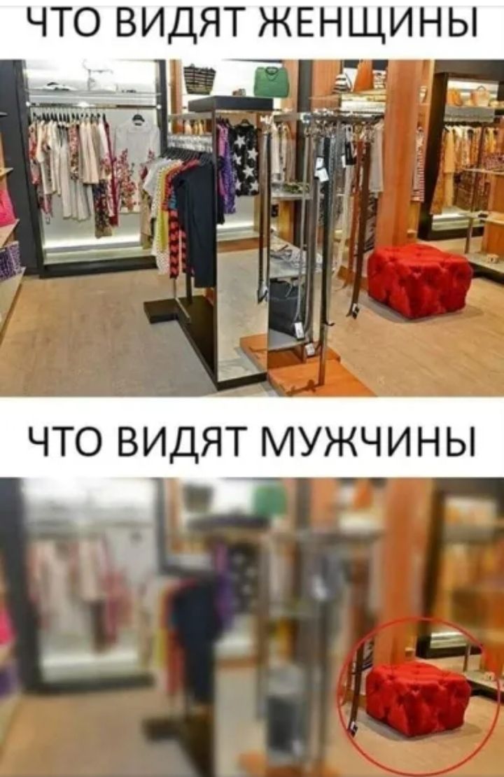 ЧТО ВИДЯТ ЖЕНЩИНЫ ЧТО ВИДЯТ МУЖЧ И Н Ы _