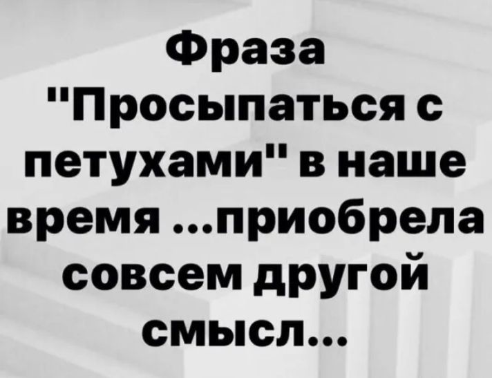 Фраза Просыпаться петухами в наше время приобрела совсем дРУгой смысл