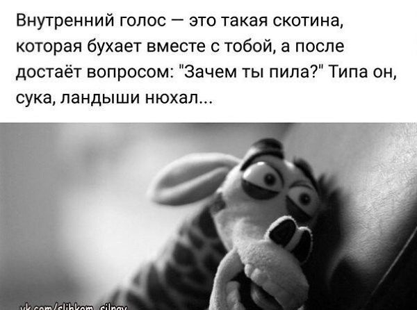 Внутренний голос это такая скотина которая бухает вместе с тобой а после достаёт вопросом Зачем ты пила Типа он сука ландыши нюхал