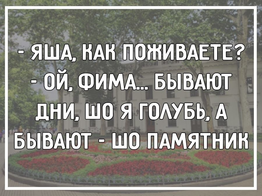 яшд НАН ПОЖИВАЕТЕ ой ФИМА БЫВАЮТ ЛНИ ШО Я ГОАУБЬ А БЫВАЮТ ШО ПАМЯТНИК