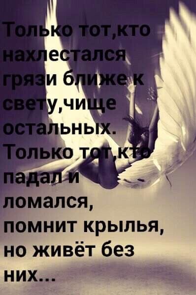 помнит крылья но живёт без них