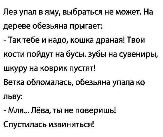 Лев упал в яму выбраться не может На дереве обезьяна прыгает Так тебе и надо кошка драная Твои кости пойдут на бусы зубы на сувениры шкуру на коврик пустят Ветка обломалась обезьяна упала ко льву Мля Лёва ты не поверишь Спустилась извиниться